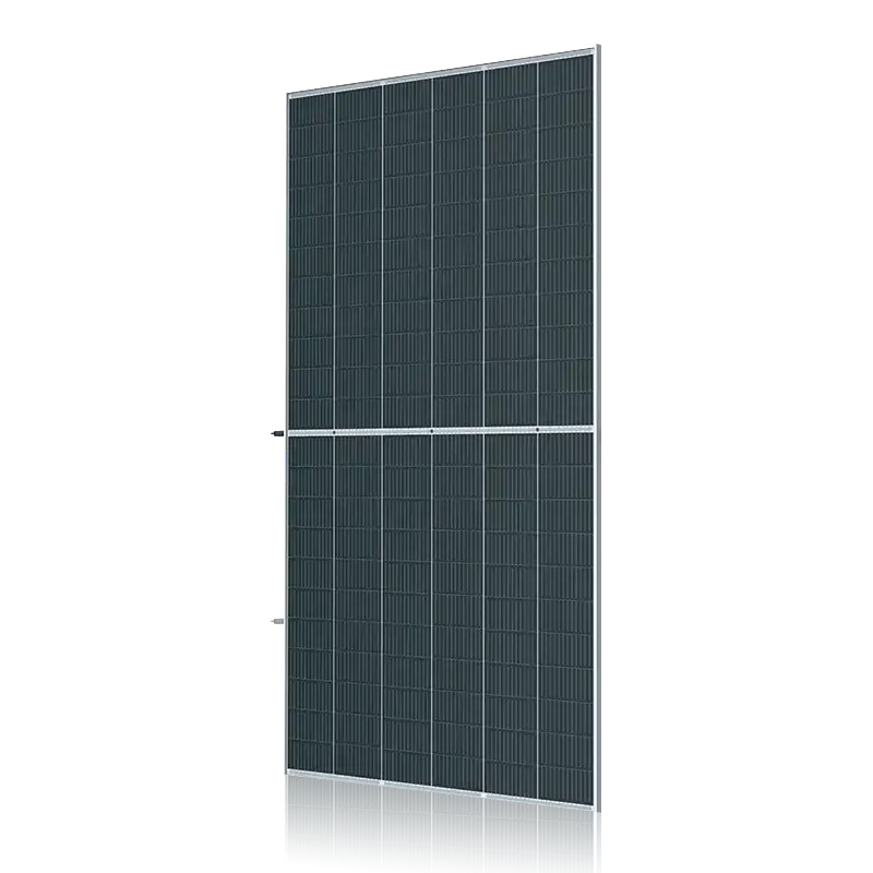 Módulo Solar PERC 210-132-640-670W
